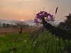 Lodge Phu Pai Art Resort