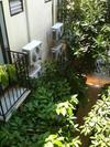 Hostal Suayai Guesthouse