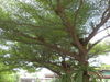 Sandy Serviced Apartment