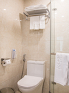 Rosamia Da Nang Hotel