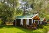Hotel Green Pine Beach & Bungalows Luxury Concept