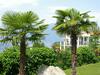 Apartamento Miralago 25