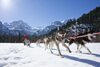Hotel The Alpina Gstaad