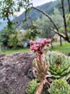 Bed & Breakfast Da Erminia
