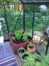 Kullsbj�rken Bed & Breakfast