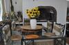 Hostal Pelican Place Guest Cottages