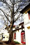 Hotel Cricklewood Manor