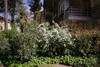 Apartamento Pine-tree Apt W/ Private Garden 50 M From The Sea