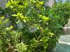Hotel Villa In�s Mendoza