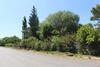 Caba�a En Olivar Centenario Agroecol�gico Tutuna
