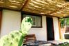 Albergue Sigrum