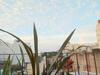 Bed & Breakfast Deptos En San Telmo Kohli House