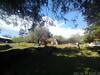 Lodge Complejo Caba�as Del Sol