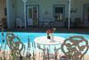 Hostal Paradiso Guesthouse & Self-catering Cottage