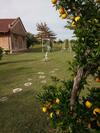 Apartamento Azahares S.a.s