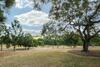 Brisbane City Apartment Atop Victoria Park