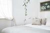 Byron Beach Abodes