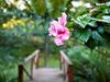 Bed & Breakfast Andelomi Forest Lodge