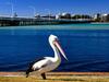 Apartamento Sandbar 103 - Forster Main Beach