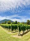 Mi Casa - Healesville