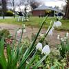 Hotel The Lancefield Lodge