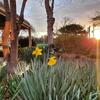 Hotel The Lancefield Lodge