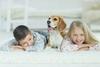 Boutique Stays - Buckingham