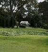 Byron Hinterland Farm - Minutes To Everything!