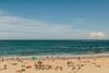Apartamento Coastal Penthouse At Coogee Beach