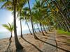 Tropsvilla - Palm Cove