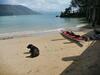 Turtle Reef Bed & Breakfast Cairns