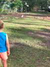 Fraser Coast Rv Park - Gypsy Wagon