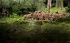 Vakantiehuis Durbuy Nature