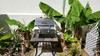 Apartamento Pauls Oceanview With Amazing Sunsets
