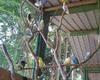Hostal Pousada Novo Xod�