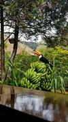 Hostal Pousada Novo Xod�