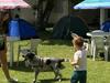 Camping Centro - Guia Caragu�