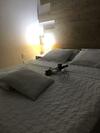 Hotel Montanh�s