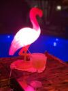 Hostal Villa Caiob�