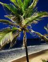 Apartamento Sol Praia Brissa Hotel