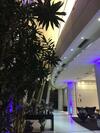 Aparthotel Flat Sp - Paulista