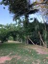 Casa P� De Amora
