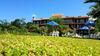 Ilha Da Gal� Tourist Hotel