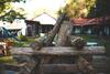 Hotel Eco Resort Bela Riba