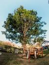 Hotel Eco Resort Bela Riba
