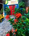 Hostal Pousada Girassol