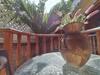 Hostal Casa Mam� Waldy New