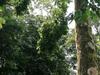 Posada Casona R�stica & Bungalow