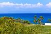 Dafni Villa 14