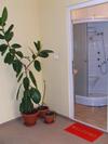 Hostal Pensiunea Dorali